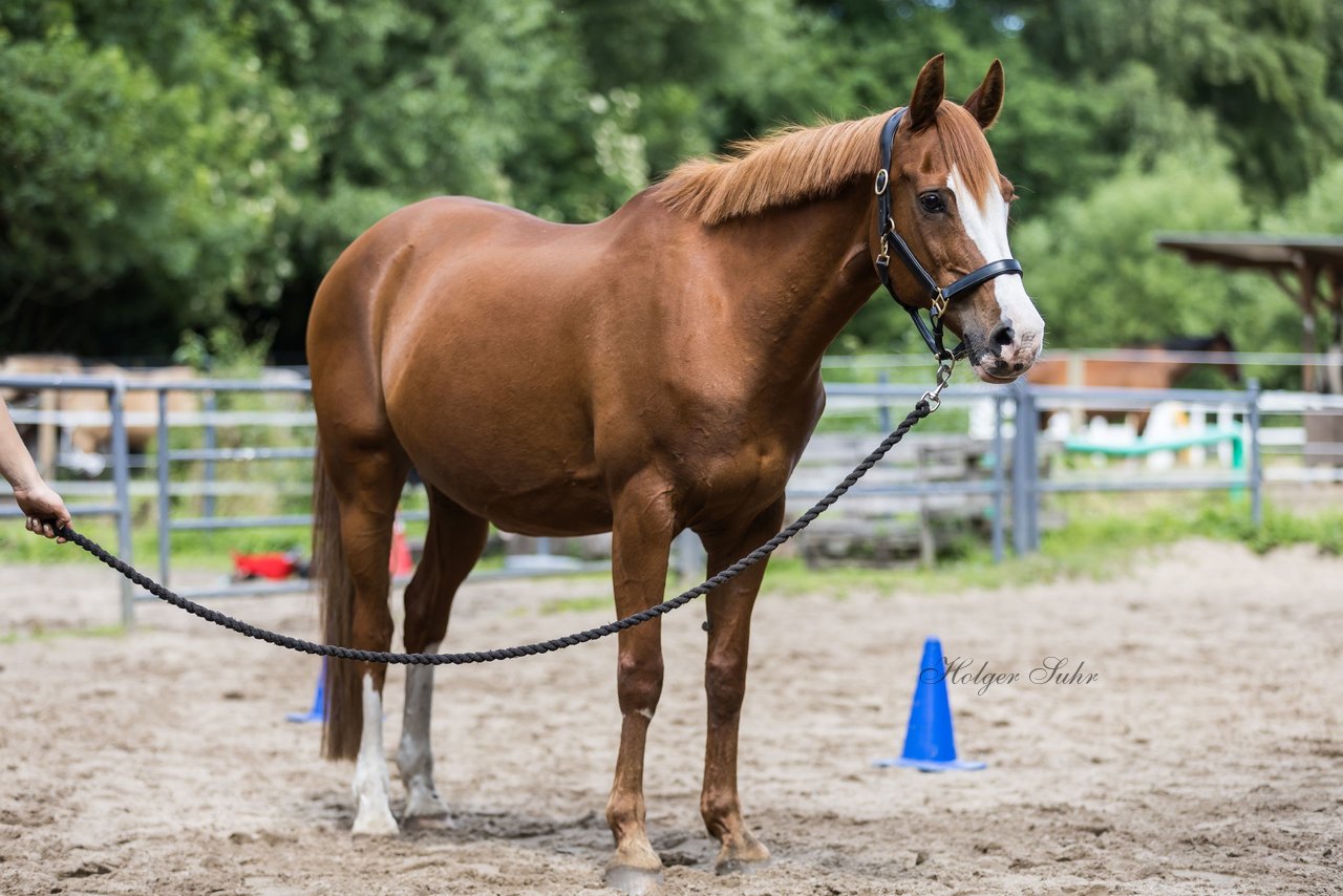 Bild 60 - Vivi
